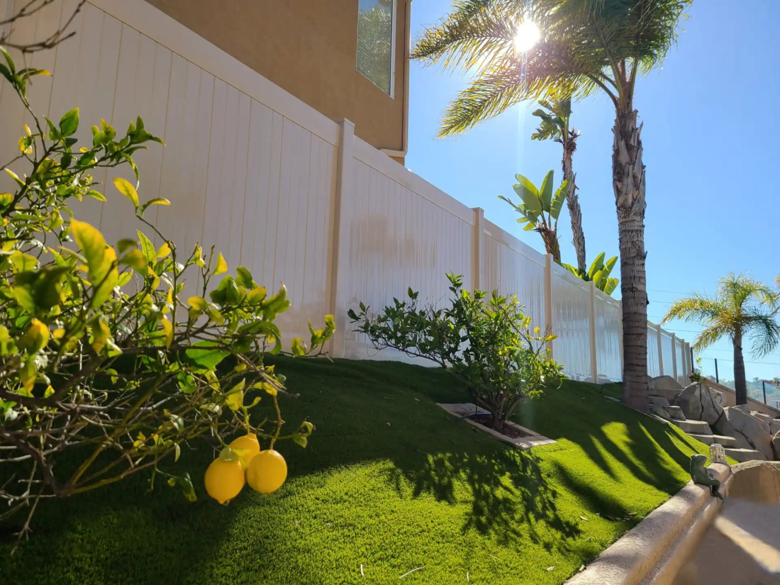 Vinyl Privacy Fence Vinyl Privacy Fence with lemon tree and palm trees in San Diego